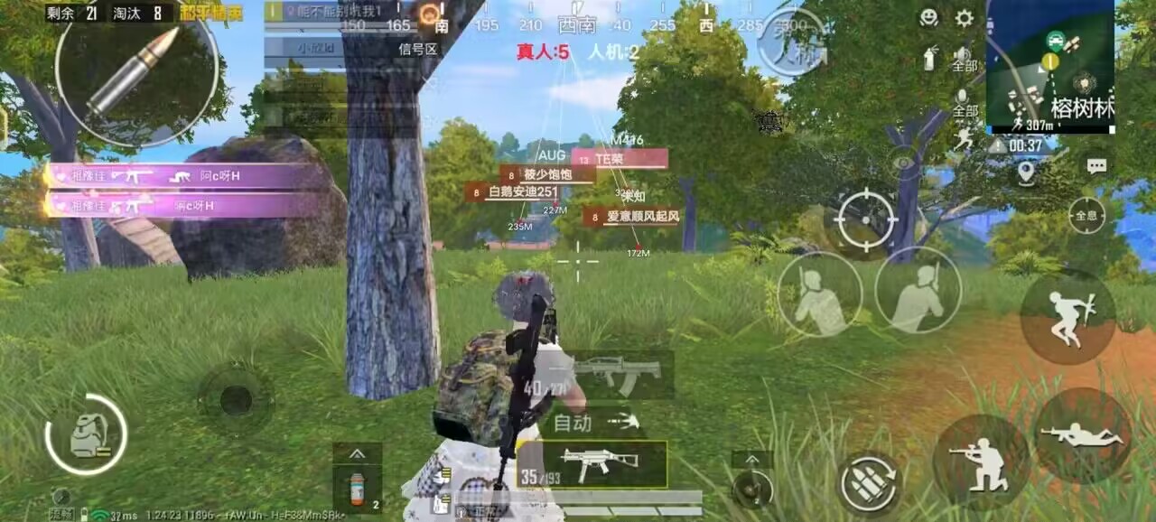 和平精英迪达拉Pro辅助